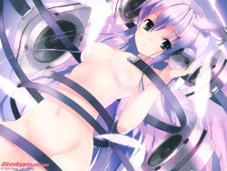 Rule 34 | 1girl, 2009, breasts, censored, convenient censoring, feathers, galge.com, long hair, medium breasts, navel, nude, purple hair, refeia, solo