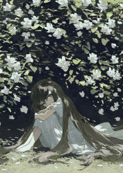 Rule 34 | 1girl, aqua eyes, barefoot, black hair, covered mouth, dress, flower, highres, knees up, leaf, long hair, looking at viewer, original, plant, potg (piotegu), short sleeves, solo, very long hair, white dress, white flower, wide shot