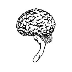 Rule 34 | brain, monochrome, penis, simple background, tagme, truth