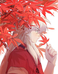 Rule 34 | 1boy, animal ears, autumn leaves, bead necklace, beads, branch, dog ears, from side, hand up, highres, holding, holding leaf, inuyasha, inuyasha (character), japanese clothes, jewelry, leaf, long hair, looking at hand, looking down, male focus, maple leaf, necklace, red theme, sidelocks, simple background, solo, upper body, white background, white hair, yuigacyako