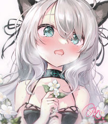 Rule 34 | 1girl, @ @, animal ears, arknights, bare shoulders, black dress, black ribbon, blue eyes, blush, cat ears, collarbone, commentary request, dated, dress, drooling, eyebrows hidden by hair, flower, grey background, grey hair, hair between eyes, hair ribbon, hands up, holding, holding flower, long hair, mifuji (fujisan 1933331), mint (arknights), mouth drool, open mouth, ribbon, signature, simple background, sleeveless, sleeveless dress, solo, sweat, tears, upper body, wavy mouth, white flower