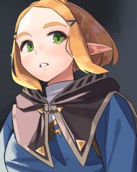 Rule 34 | 1girl, absurdres, black shawl, blonde hair, blue tunic, elf, green eyes, grey background, hair tie, high collar, highres, lewdrawings, looking to the side, nintendo, parted lips, pointy ears, princess zelda, shawl, short hair, simple background, solo, the legend of zelda, the legend of zelda: breath of the wild, upper body
