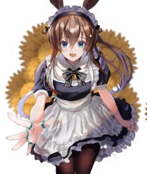 Rule 34 | :d, alternate costume, amiya (arknights), animal ears, apron, arknights, bell, black bow, black bowtie, black dress, black pantyhose, blue eyes, blush, bow, bowtie, brown hair, cowboy shot, dress, flower, frilled dress, frills, grin, hair between eyes, highres, hominamia, infection monitor (arknights), jewelry, long hair, looking at viewer, maid apron, maid headdress, multiple rings, open mouth, outstretched arm, outstretched hand, pantyhose, rabbit ears, ring, smile, solo, sunflower, white apron, white background