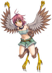 Rule 34 | 1girl, antenna hair, arms up, bare shoulders, belt, bird, blush, claws, collar, harpy, harpy (monster girl encyclopedia), kenkou cross, looking at viewer, midriff, monster girl, monster girl encyclopedia, navel, pink hair, pointy ears, short hair, shorts, simple background, smile, solo, strapless, tube top, white background, wings, yellow eyes