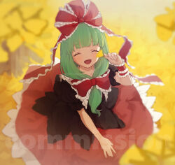 Rule 34 | 1girl, blunt bangs, bow, closed eyes, commission, frilled bow, frilled ribbon, frills, from above, front ponytail, ginkgo leaf, green hair, hair bow, hair ribbon, highres, holding, holding leaf, honotai, kagiyama hina, leaf, red bow, red ribbon, ribbon, skeb commission, smile, solo, touhou, twitter username, watermark