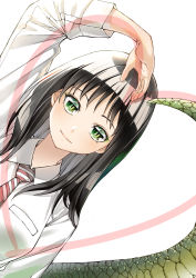 Rule 34 | 1girl, absurdres, burningblossom, collared shirt, cover, cover image, cover page, green eyes, heart, highres, leaning to the side, lizard tail, manga cover, mukasete! ryuugasaki-san, necktie, official art, open hand, red necktie, reptile girl, ryuugasaki-san, shirt, smile, solo, tail, third eyelid, white shirt