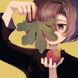 Rule 34 | 1other, androgynous, black shirt, brown hair, fig, fig leaf, fingernails, food, fruit, hair over one eye, hand up, highres, holding, holding food, holding fruit, holding leaf, ka (marukogedago), leaf, long sleeves, one eye covered, original, purple eyes, shirt, short hair, simple background, solo, upper body, yellow background