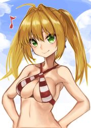 Rule 34 | 1girl, ahoge, bikini, breasts, cleavage, fate (series), hair intakes, long hair, looking at viewer, nero claudius (fate), nero claudius (fate) (all), nero claudius (swimsuit caster) (fate), nyantiu, solo, striped bikini, striped clothes, swimsuit