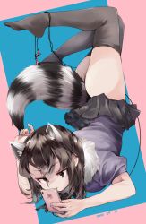 Rule 34 | 1girl, animal ears, ascot, ass, bare arms, black eyes, black hair, black thighhighs, cellphone, closed mouth, common raccoon (kemono friends), earphones, extra ears, fingernails, flat ass, full body, fur collar, hair between eyes, highres, holding, holding phone, kemono friends, looking at object, medium hair, microskirt, nanana (nanana iz), no panties, no shoes, phone, pleated skirt, raccoon ears, raccoon girl, raccoon tail, short sleeves, sidelocks, skirt, smartphone, solo, sweater, tail, thighhighs, top-down bottom-up, tsurime, upside-down