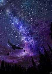 Rule 34 | amatsuki rei, bad id, bad twitter id, bird, commentary request, feathers, forest, highres, milky way, nature, night, night sky, no humans, outdoors, owl, scenery, sky, star (sky), starry sky, tree