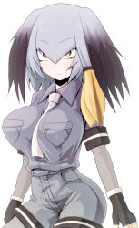 Rule 34 | 10s, 1girl, alternate breast size, arms at sides, between breasts, black gloves, black hair, bodystocking, breast pocket, breasts, closed mouth, collared shirt, cowboy shot, expressionless, fingerless gloves, gloves, grey hair, grey shirt, grey shorts, hair between eyes, highres, impossible clothes, impossible shirt, kamishima kanon, kemono friends, large breasts, layered sleeves, long hair, long sleeves, looking at viewer, low ponytail, multicolored hair, necktie, necktie between breasts, no tail, orange hair, pantyhose, pocket, shirt, shoebill (kemono friends), short over long sleeves, short sleeves, shorts, side ponytail, simple background, solo, upper body, white background, white necktie, yellow eyes