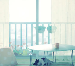 Rule 34 | balcony, cat, closed eyes, commentary request, cup, curtains, indoors, lying, nakamura hinata, no humans, on side, original, pillow, plant, potted plant, revision, room, roomscape, sleeping, solo, table