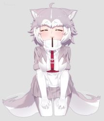 Rule 34 | 1girl, :3, ^ ^, afterimage, ahoge, animal ear fluff, animal ears, belt, breasts, closed eyes, cowboy shot, cropped legs, dog (mixed breed) (kemono friends), dog ears, dog girl, dog tail, elbow gloves, closed eyes, facing viewer, fang, fang out, food, fur-trimmed sleeves, fur trim, gloves, grey background, grey hair, grey skirt, incoming pocky kiss, jacket, kemono friends, leaning forward, medium breasts, mouth hold, multicolored hair, nyifu, pleated skirt, pocky, pocky day, short hair, short sleeves, simple background, skirt, smile, solo, tail, tail wagging, two-tone hair, white gloves, white hair