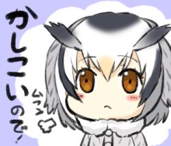 Rule 34 | 10s, 1girl, :&lt;, puff of air, bad id, bad pixiv id, blush stickers, breath, brown eyes, engiyoshi, fur collar, kemono friends, no nose, northern white-faced owl (kemono friends), solo, translated