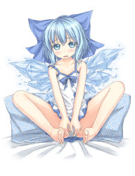 Rule 34 | 1girl, barefoot, blue eyes, blue hair, blush, bow, cirno, feet, flat chest, hair bow, ice, ice wings, matching hair/eyes, panties, roshia nise mango, short hair, soles, solo, embodiment of scarlet devil, toes, touhou, underwear, wings