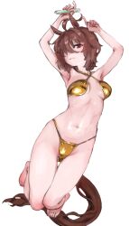Rule 34 | 1girl, abaratani kurou, agnes tachyon (umamusume), animal ears, arms behind head, bikini, breasts, brown eyes, criss-cross halter, full body, gold bikini, halterneck, highres, horse ears, horse girl, horse tail, navel, red eyes, short hair, simple background, small breasts, solo, swimsuit, tail, test tube, thigh gap, umamusume, white background