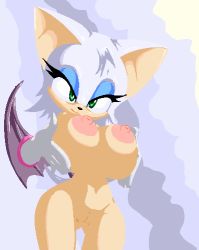 Rule 34 | breasts, cleft of venus, furry, large breasts, lowres, nipples, pussy, rouge the bat, smile, sonic (series), tail, wings