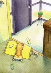 Rule 34 | animal focus, defenseku, dog, door, foyer, from above, indoors, plant, rug, slippers, waiting, welsh corgi