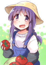 Rule 34 | 1girl, blush, commentary request, farmer, green background, hat, hinata yukari, holding, long hair, long sleeves, looking at viewer, open mouth, overalls, purple eyes, purple hair, simple background, smile, solo, sun hat, suspenders, tatsunokosso, tomato, white background, yuyushiki
