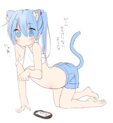 Rule 34 | 1girl, all fours, animal ears, barefoot, blue eyes, blue hair, blush, cat ears, cat tail, clothes lift, extra ears, flat chest, fujiwara gacho, full body, long hair, matching hair/eyes, mouth hold, nyan, original, paw pose, shirt lift, simple background, solo, sui (fujiwara gacho), tail, white background
