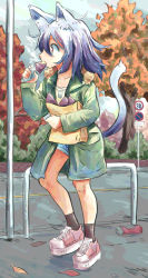 Rule 34 | 1girl, animal ear fluff, animal ears, autumn, bag, black legwear, blue shorts, can, cat ears, cat tail, collarbone, dog tags, food, food in mouth, full body, green hoodie, green shirt, highres, holding, holding food, hood, hoodie, light purple hair, long sleeves, medium hair, original, outdoors, paper bag, pink footwear, piporinton, red eyes, road, shirt, shoes, shorts, sneakers, solo, speed limit sign, standing, tail