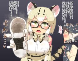Rule 34 | 1boy, 1girl, animal ears, bitashinmi, blonde hair, blush, breasts, disgust, erection, fang, glasses, green eyes, kemono friends, large breasts, looking at viewer, margay (kemono friends), medium hair, open mouth, pov, precum, shoes, unworn shoes, single shoe, smell, smelling, steam, tail, translated