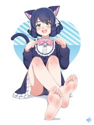 Rule 34 | 1girl, animal ears, barefoot, bell, black hair, black panties, blush, bow, bowtie, breasts, cat ears, cat tail, cyan (show by rock!!), fang, feet, foot focus, foreshortening, frilled skirt, frills, gothic lolita, green eyes, hair ornament, hairband, highres, lolita fashion, looking at viewer, lululewd, open mouth, panties, pink bow, pink bowtie, short hair, show by rock!!, simple background, sitting, skirt, small breasts, smile, soles, solo, tail, underwear