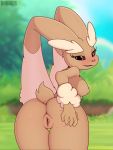Rule 34 | 1girl, animal ears, animated, ass, black sclera, bnbigus, breasts, clitoris, colored sclera, creatures (company), eyebrows, eyelashes, field, from behind, furry, game freak, gen 4 pokemon, half-closed eyes, hand on ass, highres, lip biting, long ears, looking back, lopunny, medium breasts, naughty face, nintendo, nipples, nude, outdoors, pokemon, pokemon (creature), pussy, pussy juice, rabbit, rabbit tail, red eyes, sideboob, spread pussy, tail, tongue, tongue out, uncensored, video