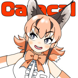 Rule 34 | 1girl, animal ears, bare shoulders, blue eyes, bow, bowtie, caracal (kemono friends), cat ears, cat girl, elbow gloves, extra ears, gloves, highres, kemono friends, kemono friends v project, long hair, o87, open mouth, orange hair, shirt, simple background, sleeveless, sleeveless shirt, solo, upper body, virtual youtuber