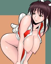 Rule 34 | 1girl, bottomless, breasts, japanese clothes, large breasts, nipples, shiranui mai, snk, solo, the king of fighters
