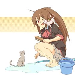 Rule 34 | 1girl, ;d, bad id, bad pixiv id, barefoot, brown hair, bucket, cat, cleaning brush, hose, izumi (ko8), little busters!, long hair, natsume rin, one eye closed, open mouth, plaid, plaid skirt, ponytail, puddle, red eyes, school uniform, skirt, smile, solo, squatting, water, wink