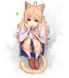 Rule 34 | 1girl, ahoge, animal ears, artist name, bad id, bad pixiv id, blonde hair, brown footwear, cat ears, cat girl, cat tail, finger to mouth, green eyes, hand on own face, hoshii miki, idolmaster, idolmaster (classic), looking at viewer, lowres, rod (rod4817), shoes, sitting, skirt, smile, socks, solo, star (symbol), tail