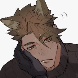 Rule 34 | 1boy, achilles (fate), animal ears, black shirt, brown hair, closed mouth, extra ears, fate/apocrypha, fate (series), frown, hand on another&#039;s face, haruakira, highres, kemonomimi mode, male focus, mature male, pov, pov hands, ribbed shirt, shirt, short hair, simple background, undercut, upper body, white background