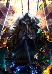 Rule 34 | 1boy, absurdres, antinese, arthropod boy, arthropod limbs, black hair, blue eyes, bug, butterfly wings, cape, collared shirt, crossed legs, crown, diamond hairband, dragonfly wings, fate/grand order, fate (series), fire, full body, fur-trimmed cape, fur trim, hands on own knees, highres, insect wings, long sleeves, looking at viewer, male focus, medium hair, oberon (fate), oberon (third ascension) (fate), shirt, smile, solo, wing cape, wings