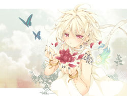 Rule 34 | 1boy, 1girl, 96mame, androgynous, blonde hair, bracelet, bug, butterfly, dress, earrings, flower, insect, jewelry, male focus, nail polish, original, red eyes, short hair, solo, tattoo, wings