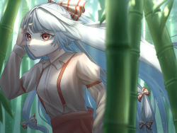 Rule 34 | 1girl, arm up, bamboo, bamboo forest, bow, breasts, brown shirt, closed mouth, collared shirt, commentary request, forest, fujiwara no mokou, grey bow, grey hair, hair bow, hand in pocket, hand on own face, hand up, hasukappu, highres, juliet sleeves, leaf, light, long hair, long sleeves, looking to the side, medium breasts, multicolored bow, nature, pants, pocket, puffy long sleeves, puffy sleeves, red bow, red eyes, red pants, shirt, sky, solo, suspenders, touhou, white bow, white sky