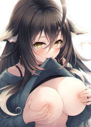 Rule 34 | 1girl, absurdres, ahoge, animal ear fluff, animal ears, black bra, black hair, blue sweater, blush, bra, breasts, cleavage, clothes lift, commentary request, covering nipples, covering privates, fangs, hair between eyes, hand on own chest, hasumi (hasubatake39), highres, huge filesize, large breasts, long hair, long sleeves, looking at viewer, mouth hold, original, setsuna (hasumi (hasubatake39)), solo, sweater, sweater lift, underwear, upper body, white background, yellow eyes