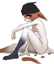 Rule 34 | 1girl, animal ears, animal feet, animal hands, animal nose, arm on knee, barefoot, beanie, black fur, black hat, blush, body fur, breasts, brown fur, cat ears, cat girl, cat tail, claws, completely nude, ears down, feet, female focus, fortnite, from side, furry, furry female, grin, half-closed eyes, happy, hat, highres, knee up, legs, looking at viewer, meow skulls (fortnite), multicolored fur, navel, nipple piercing, nipples, nude, orange eyes, pawpads, piercing, profile, shell casing, simple background, sitting, small breasts, smile, solo, tail, teeth, thighs, toes, wagadraws, white background, white fur