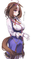Rule 34 | 1girl, absurdres, ahoge, animal ears, blue skirt, blue vest, blush, breasts, brown hair, commentary request, frilled skirt, frills, gloves, hairband, highres, horse ears, horse girl, horse tail, large breasts, long sleeves, looking at viewer, meisho doto (umamusume), multicolored hair, pantyhose, parted lips, pink hairband, pizzasi, purple eyes, shirt, simple background, skirt, solo, tail, translation request, two-tone hair, umamusume, vest, white background, white gloves, white hair, white pantyhose, white shirt
