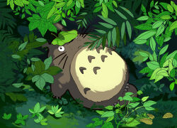 Rule 34 | 1other, claws, forest, frown, grey fur, leaf, leaf on head, lying, nature, no humans, on back, outdoors, plant, solo, studio ghibli, temari633, tonari no totoro, totoro, watermark, web address, whiskers