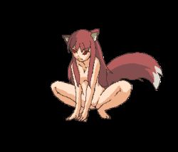 Rule 34 | 1girl, animal ears, animated, animated gif, breasts, cleft of venus, eluku, lowres, nude, pussy, red hair, spread legs, squatting, tail, tail wagging, uncensored, wolf ears, wolf tail