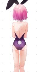 Rule 34 | 1girl, absurdres, animal ears, ass, backless leotard, bare arms, bare legs, fake animal ears, fake tail, fate/grand order, fate (series), from behind, harukappa, highres, leotard, mash kyrielight, medium hair, pink hair, purple leotard, rabbit ears, rabbit tail, shoulder blades, solo, standing, straight hair, tail, thigh gap, white background