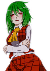 Rule 34 | 1girl, ascot, blush, breasts, colorized, crossed arms, eichi yuu, female focus, green hair, highres, kazami yuuka, long sleeves, looking at viewer, open mouth, red eyes, short hair, simple background, smile, solo, touhou, white background
