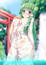 Rule 34 | 1girl, absurdres, blue eyes, blush, breast suppress, breasts, clothesline, covered erect nipples, female focus, frog, green hair, hair ornament, hand on breast, highres, kochiya sanae, long hair, nipples, panties, robe, see-through, snake, solo, tomifumi, torii, touhou, underwear, wading, water, waterfall, wet, wet clothes