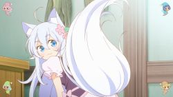 Rule 34 | animal ears, animated, animated gif, bloomers, cheat kusushi no slow life, flower, flower on head, highres, noela (cheat kusushi no slow life), tail, underwear, wolf ears, wolf girl, wolf tail