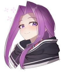 Rule 34 | 1girl, blush, closed mouth, collar, commentary request, fate/grand order, fate (series), female focus, forehead, highres, hood, hood down, looking at viewer, matching hair/eyes, medusa (fate), medusa (lancer) (fate), medusa (rider) (fate), parted bangs, portrait, purple eyes, purple hair, red collar, rider, sidelocks, simple background, smile, solo, tapioka (oekakitapioka), white background