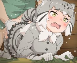 Rule 34 | 1boy, 1girl, animal ears, bed sheet, blush, bow, cat ears, cat girl, cat tail, clothed sex, doggystyle, eyelashes, fangs, grabbing, green shirt, grey hair, hetero, kemono friends, kemono friends 3, open mouth, pallas&#039;s cat (kemono friends), panties, pants, panty pull, sex, sex from behind, sheet grab, shirt, solo focus, spotted hair, sweat, tail, tomu (tomubobu), underwear, waist grab, yellow eyes