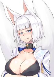 Rule 34 | 1girl, :p, animal ears, azur lane, blue eyes, blush, breasts, choker, cleavage, fox ears, fox tail, highres, kaga (azur lane), large breasts, looking to the side, multiple tails, short hair, simple background, solo, tail, tongue, tongue out, upper body, white background, white hair, zooanime