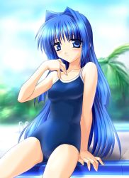 Rule 34 | 1girl, arm up, blurry, blush, competition school swimsuit, day, depth of field, head tilt, highres, kanon, looking at viewer, minase nayuki, norizou type-r, one-piece swimsuit, outdoors, palm tree, pool, pool ladder, poolside, school swimsuit, sitting, smile, soaking feet, solo, swimsuit, tree