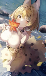 Rule 34 | 1girl, absurdres, animal ear fluff, animal ears, animal ears (norankkori), autumn leaves, bare shoulders, blonde hair, bow, bowtie, breasts, commentary, elbow gloves, extra ears, from above, gloves, highres, holding, holding leaf, kemono friends, large breasts, leaf, looking at viewer, one eye covered, print bow, print bowtie, print gloves, serval (kemono friends), serval print, shirt, short hair, skirt, sleeveless, sleeveless shirt, solo, tail, wading, water, white shirt, yellow eyes